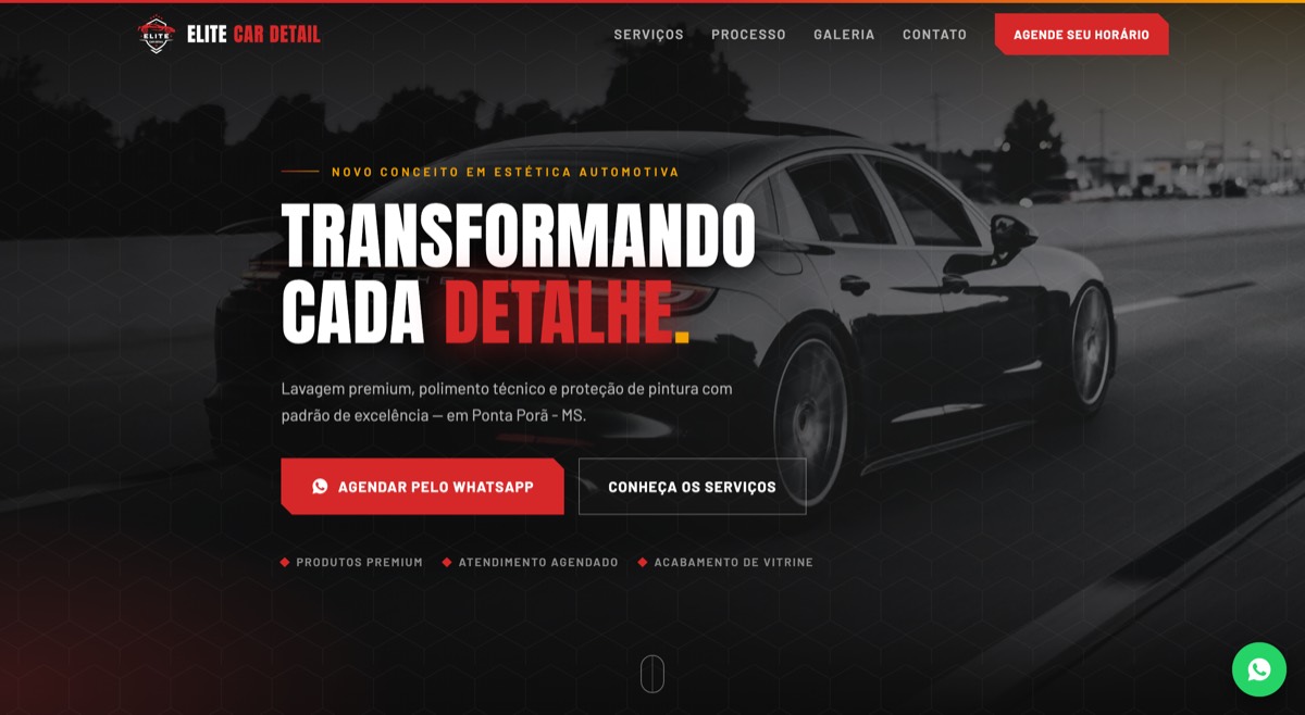 Primeira dobra da landing page da Elite Car Detail